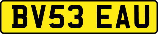 BV53EAU