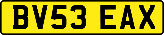 BV53EAX