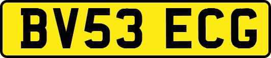 BV53ECG