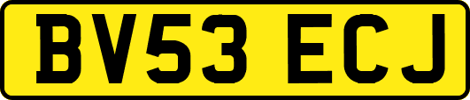 BV53ECJ