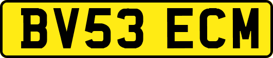 BV53ECM