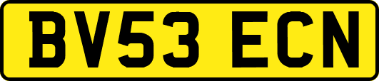 BV53ECN