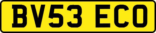 BV53ECO
