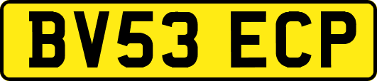 BV53ECP