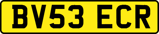 BV53ECR
