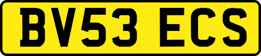 BV53ECS