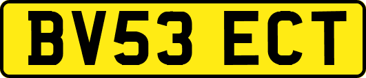 BV53ECT