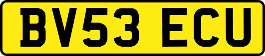 BV53ECU