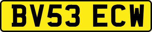 BV53ECW