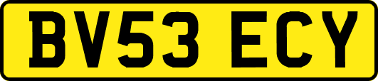 BV53ECY
