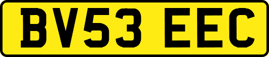 BV53EEC
