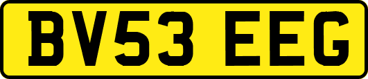 BV53EEG