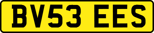 BV53EES