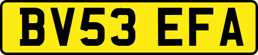 BV53EFA