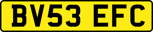 BV53EFC