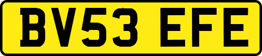 BV53EFE