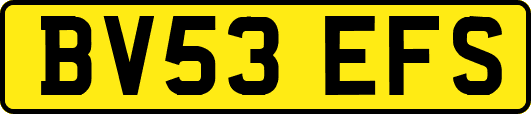 BV53EFS