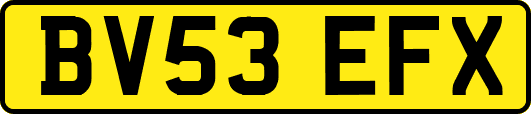 BV53EFX