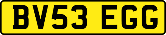 BV53EGG