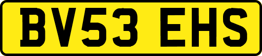 BV53EHS