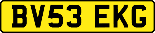 BV53EKG