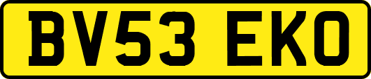 BV53EKO