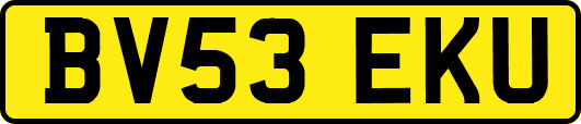 BV53EKU