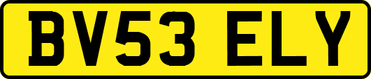 BV53ELY