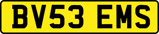 BV53EMS