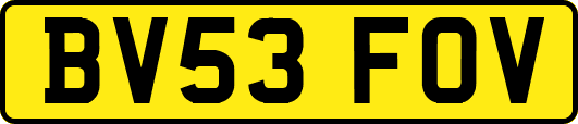 BV53FOV