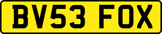 BV53FOX