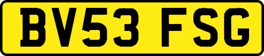 BV53FSG