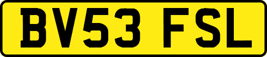 BV53FSL