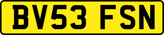 BV53FSN