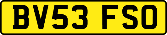 BV53FSO