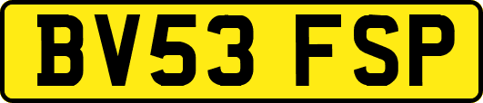 BV53FSP