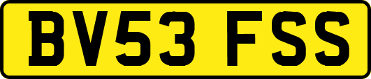 BV53FSS