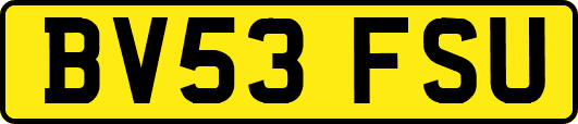 BV53FSU