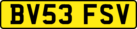 BV53FSV
