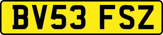 BV53FSZ