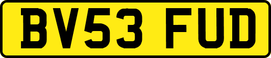BV53FUD