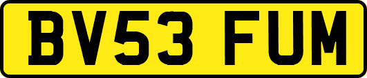 BV53FUM