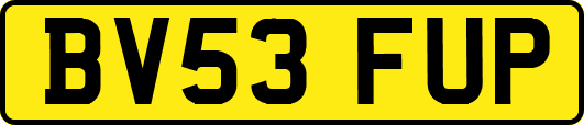 BV53FUP