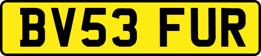 BV53FUR