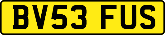 BV53FUS