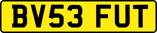 BV53FUT