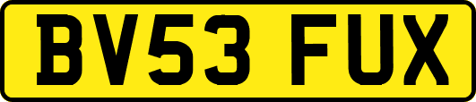 BV53FUX