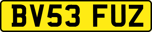BV53FUZ