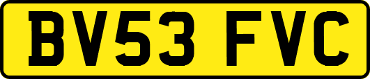 BV53FVC