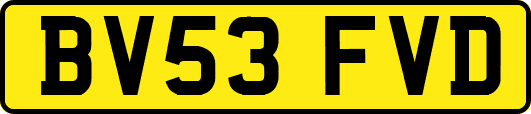 BV53FVD